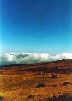 Open Field With Clouds